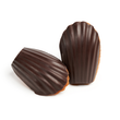 Chocolate Madeleine
